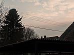 Třibřichy